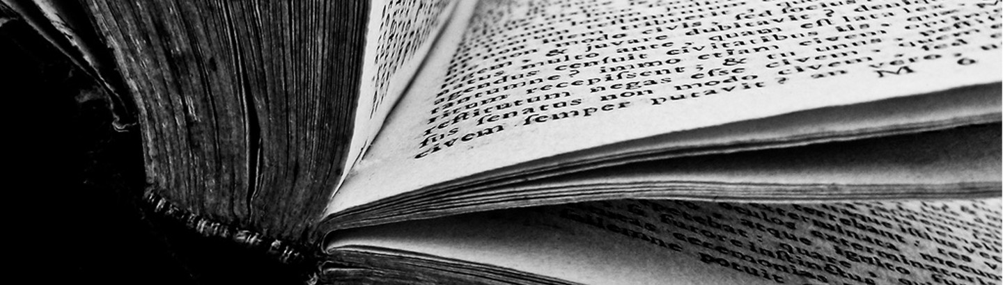 Libri in scena